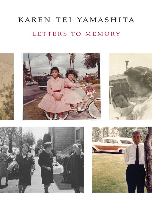 Title details for Letters to Memory by Karen Tei Yamashita - Available